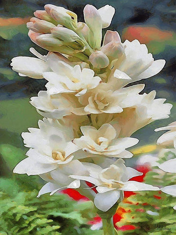 I like Flowers VI Black Ornate Wood Framed Art Print with Double Matting by Medeiros, Celito