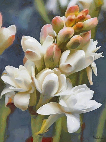 I like Flowers VII White Modern Wood Framed Art Print with Double Matting by Medeiros, Celito