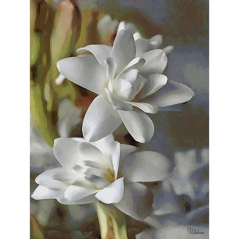 I like Flowers VIII Black Modern Wood Framed Art Print with Double Matting by Medeiros, Celito