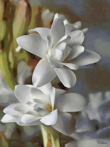 I like Flowers VIII Black Ornate Wood Framed Art Print with Double Matting by Medeiros, Celito