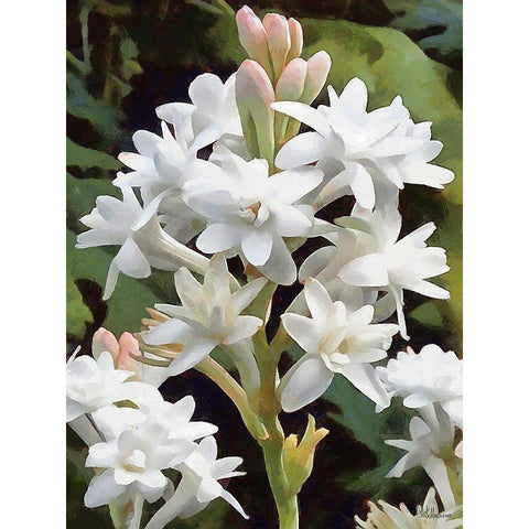 I like Flowers IX Black Modern Wood Framed Art Print with Double Matting by Medeiros, Celito