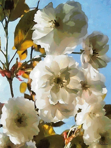 I like Flowers X White Modern Wood Framed Art Print with Double Matting by Medeiros, Celito