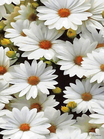 I like Flowers XI White Modern Wood Framed Art Print with Double Matting by Medeiros, Celito