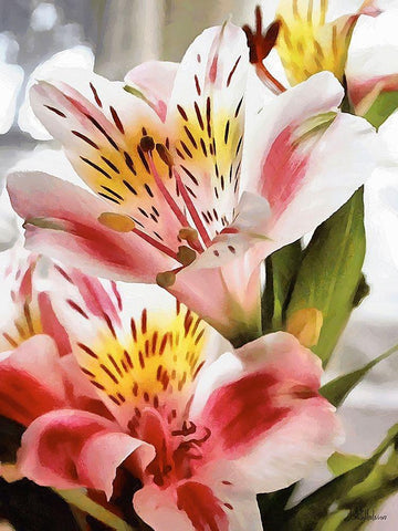 I like Flowers XIII White Modern Wood Framed Art Print with Double Matting by Medeiros, Celito