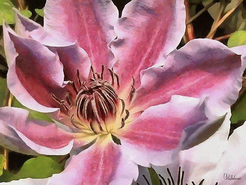 I like Flowers XIV White Modern Wood Framed Art Print with Double Matting by Medeiros, Celito