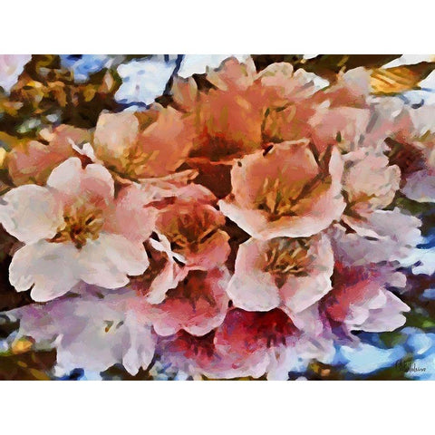 I like Flowers XV Black Modern Wood Framed Art Print with Double Matting by Medeiros, Celito