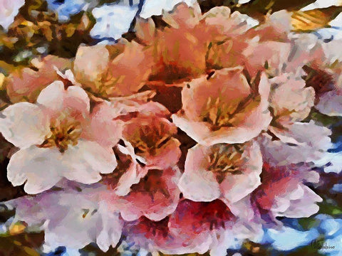 I like Flowers XV Black Ornate Wood Framed Art Print with Double Matting by Medeiros, Celito