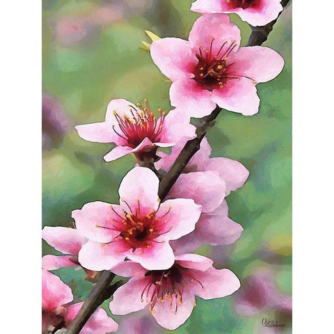 I like Flowers XVI Gold Ornate Wood Framed Art Print with Double Matting by Medeiros, Celito