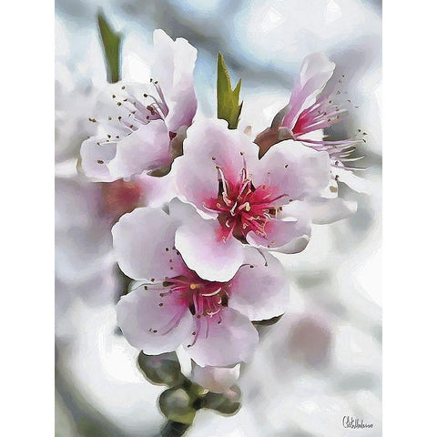 I like Flowers XVII Black Modern Wood Framed Art Print with Double Matting by Medeiros, Celito