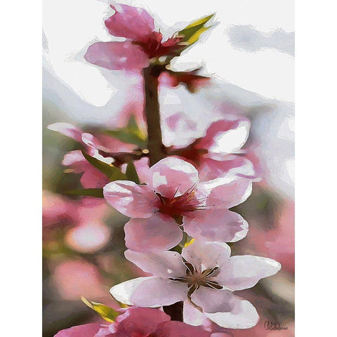 I like Flowers XVIII White Modern Wood Framed Art Print by Medeiros, Celito