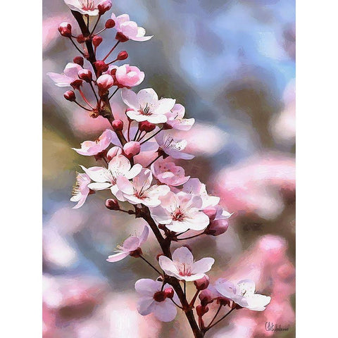 I like Flowers XIX Black Modern Wood Framed Art Print by Medeiros, Celito