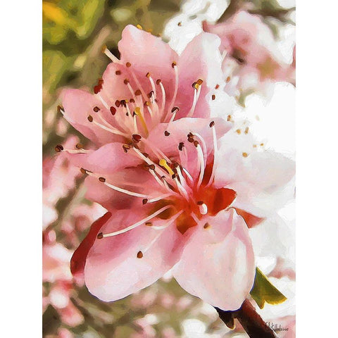 I like Flowers XX Black Modern Wood Framed Art Print with Double Matting by Medeiros, Celito