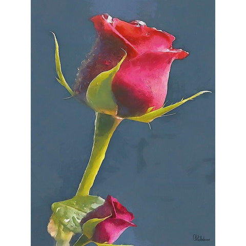 I like Flowers XXI Black Modern Wood Framed Art Print with Double Matting by Medeiros, Celito