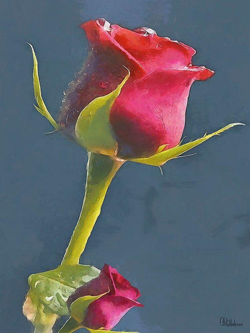 I like Flowers XXI White Modern Wood Framed Art Print with Double Matting by Medeiros, Celito