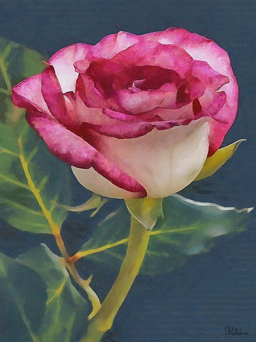 I like Flowers XXII Black Ornate Wood Framed Art Print with Double Matting by Medeiros, Celito