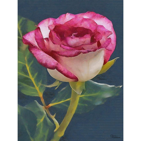 I like Flowers XXII Black Modern Wood Framed Art Print with Double Matting by Medeiros, Celito