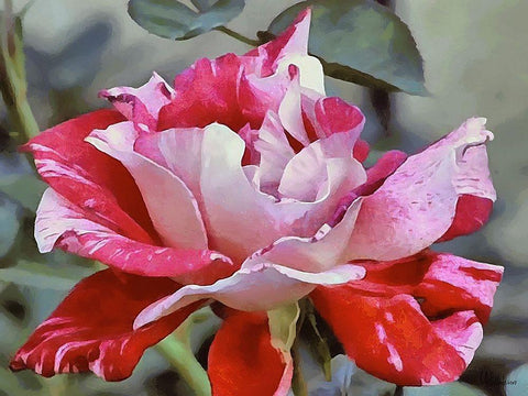 I like Flowers XXIV Black Ornate Wood Framed Art Print with Double Matting by Medeiros, Celito