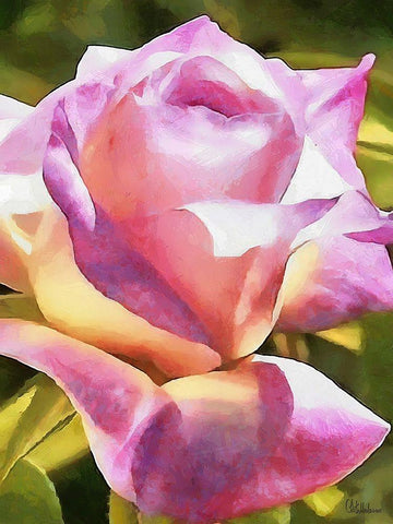 I like Flowers XXV White Modern Wood Framed Art Print with Double Matting by Medeiros, Celito