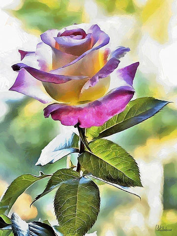 I like Flowers XXVI White Modern Wood Framed Art Print with Double Matting by Medeiros, Celito