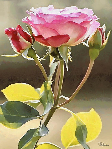 I like Flowers XXVII Black Ornate Wood Framed Art Print with Double Matting by Medeiros, Celito