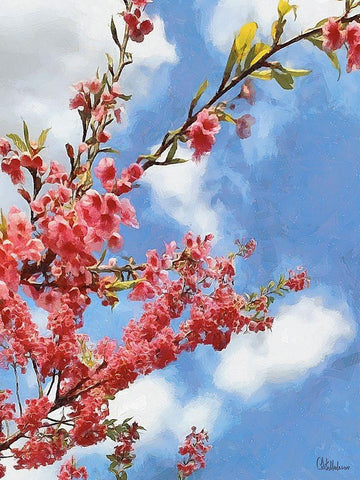 I like Flowers XXVIII White Modern Wood Framed Art Print with Double Matting by Medeiros, Celito