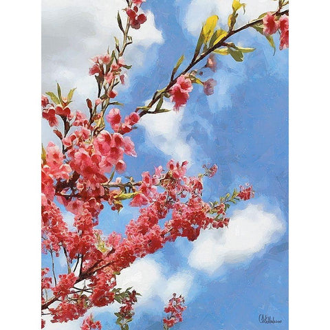 I like Flowers XXVIII Gold Ornate Wood Framed Art Print with Double Matting by Medeiros, Celito