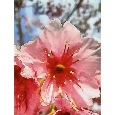 I like Flowers XXIX Black Modern Wood Framed Art Print with Double Matting by Medeiros, Celito