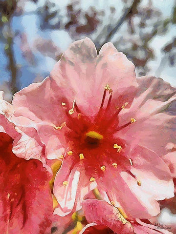 I like Flowers XXIX Black Ornate Wood Framed Art Print with Double Matting by Medeiros, Celito