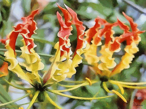 I like Flowers XXX White Modern Wood Framed Art Print with Double Matting by Medeiros, Celito