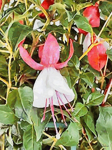 I like Flowers XXXII White Modern Wood Framed Art Print with Double Matting by Medeiros, Celito