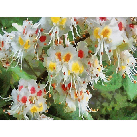 I like Flowers XXXIII White Modern Wood Framed Art Print by Medeiros, Celito