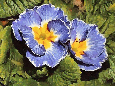 I like Flowers XXXIV White Modern Wood Framed Art Print with Double Matting by Medeiros, Celito