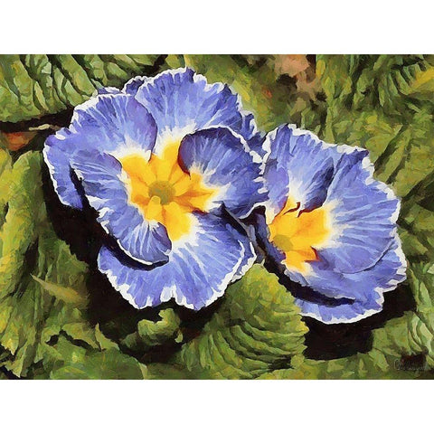 I like Flowers XXXIV Black Modern Wood Framed Art Print with Double Matting by Medeiros, Celito