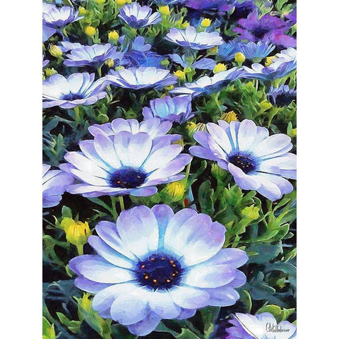 I like Flowers XXXVI Black Modern Wood Framed Art Print with Double Matting by Medeiros, Celito