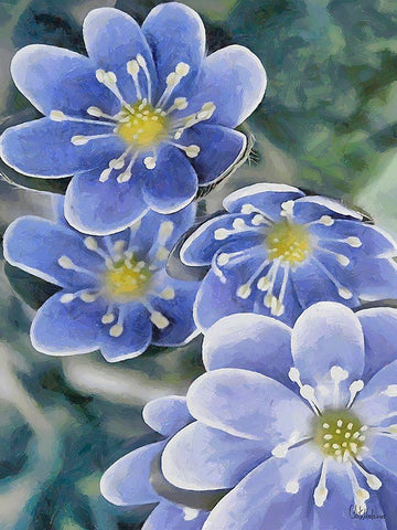 I like Flowers XXXVII White Modern Wood Framed Art Print with Double Matting by Medeiros, Celito