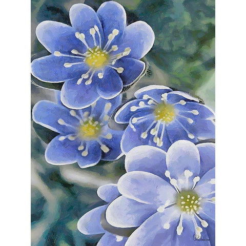 I like Flowers XXXVII Black Modern Wood Framed Art Print by Medeiros, Celito