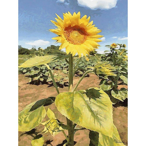 One Sunflower White Modern Wood Framed Art Print by Medeiros, Celito