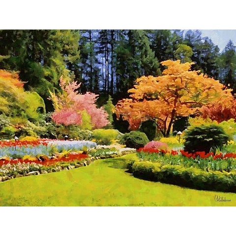 Beautiful Garden V Black Modern Wood Framed Art Print by Medeiros, Celito