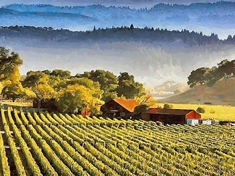 Wineyards Black Ornate Wood Framed Art Print with Double Matting by Medeiros, Celito