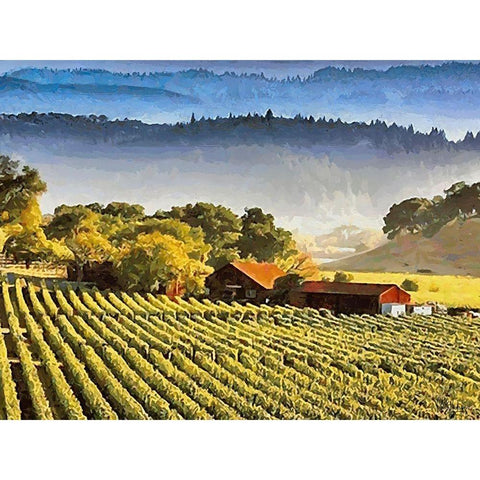 Wineyards Black Modern Wood Framed Art Print by Medeiros, Celito