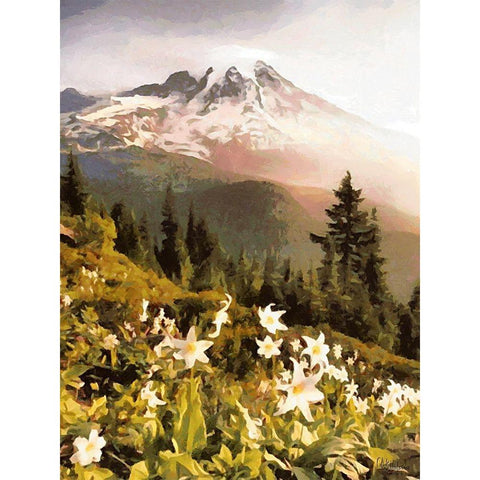 White Flowers in the Alps Gold Ornate Wood Framed Art Print with Double Matting by Medeiros, Celito