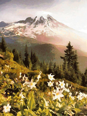 White Flowers in the Alps Black Ornate Wood Framed Art Print with Double Matting by Medeiros, Celito