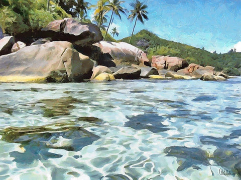 Rock on Seychelles Black Ornate Wood Framed Art Print with Double Matting by Medeiros, Celito