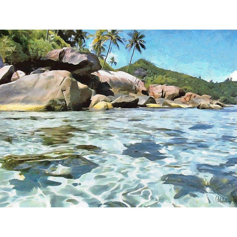 Rock on Seychelles Black Modern Wood Framed Art Print with Double Matting by Medeiros, Celito