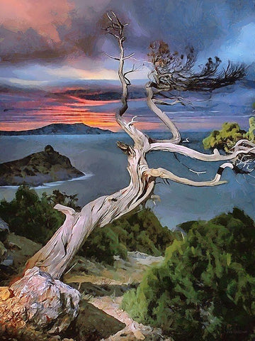 View Through Dry Tree Black Ornate Wood Framed Art Print with Double Matting by Medeiros, Celito
