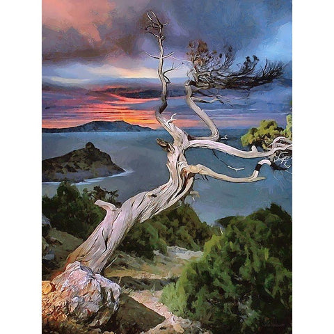 View Through Dry Tree Black Modern Wood Framed Art Print by Medeiros, Celito