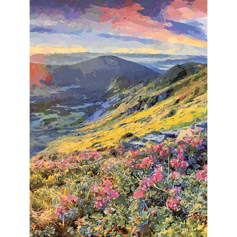 Flovers in the Mountains II Black Modern Wood Framed Art Print by Medeiros, Celito