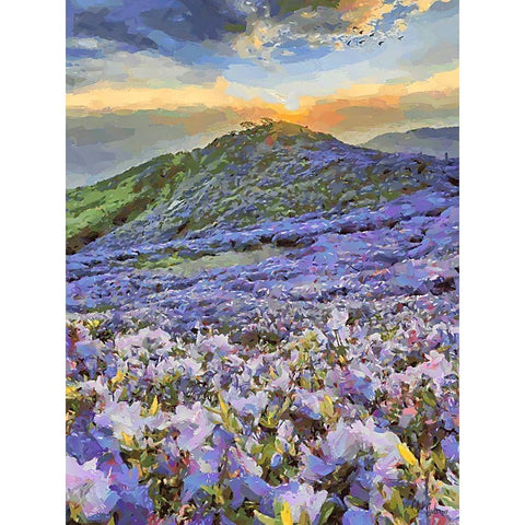 Flovers in the Mountains III Black Modern Wood Framed Art Print by Medeiros, Celito
