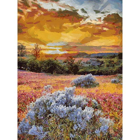 Flovers in the Mountains IV Black Modern Wood Framed Art Print with Double Matting by Medeiros, Celito