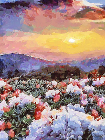 Flovers in the Mountains V White Modern Wood Framed Art Print with Double Matting by Medeiros, Celito